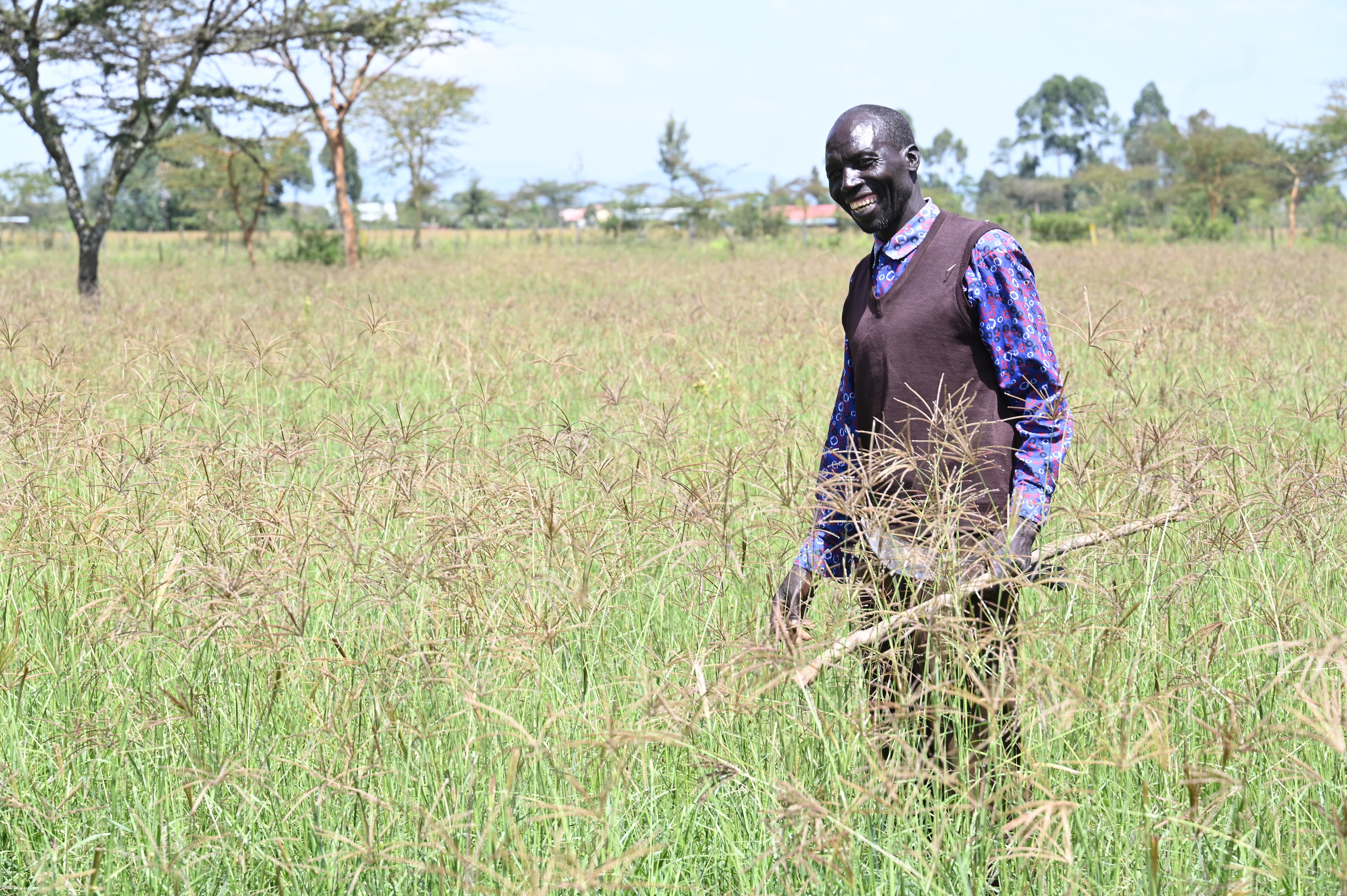 Musa’s farmland produces sufficient pasture for his livestock.