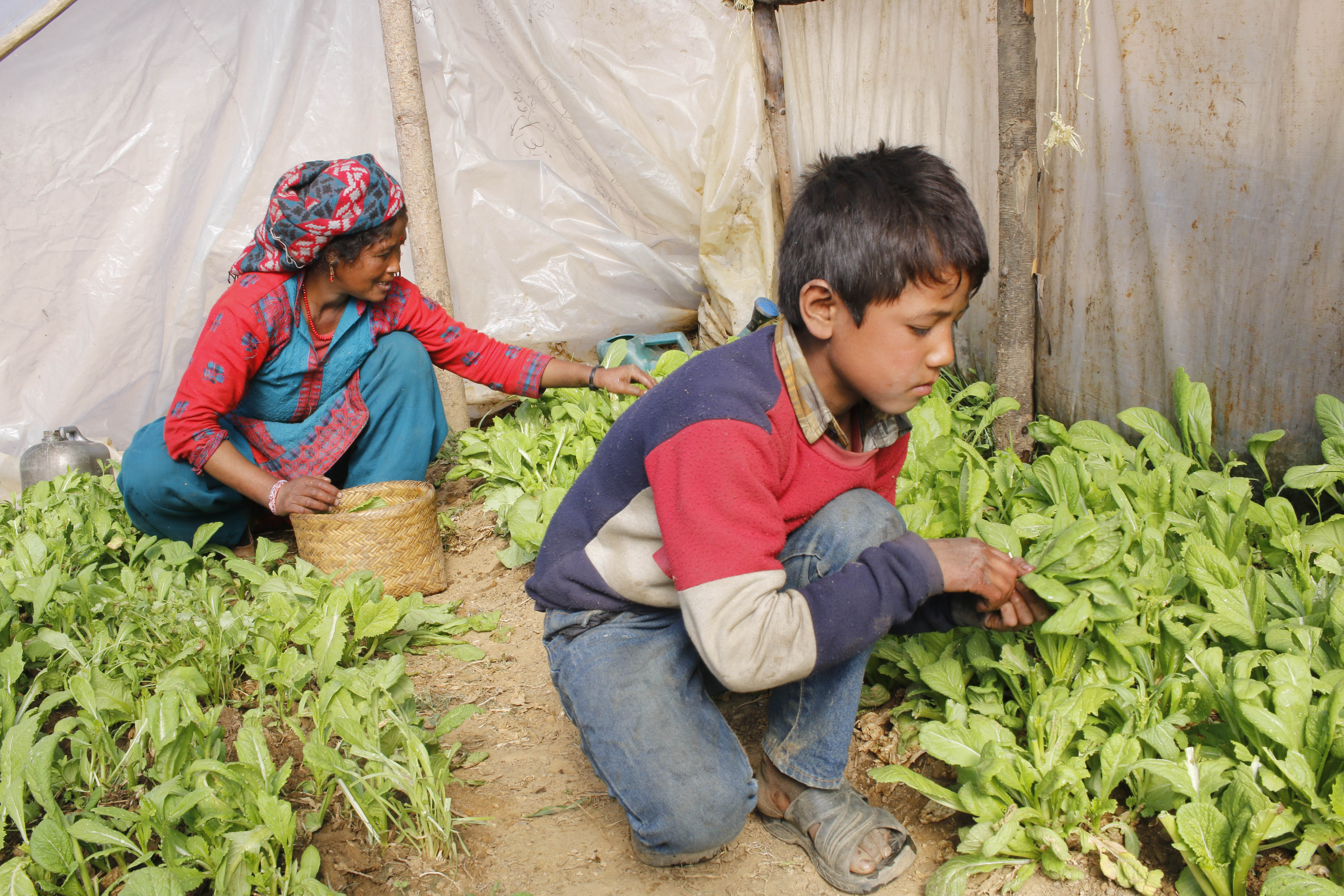 Mother and son in farm