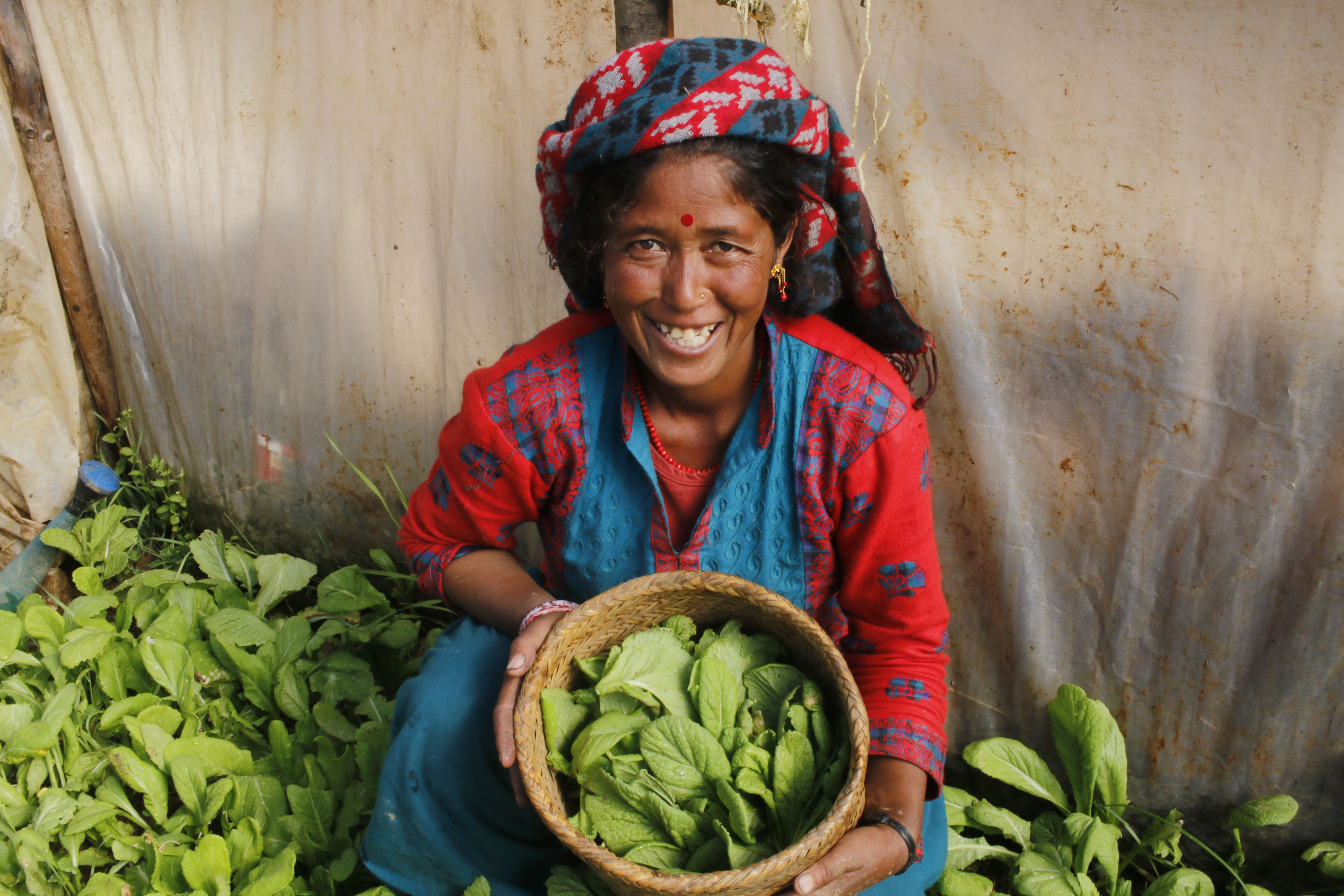 Showing produce