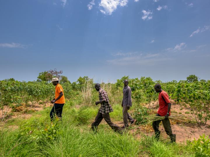 World Vision staff in field