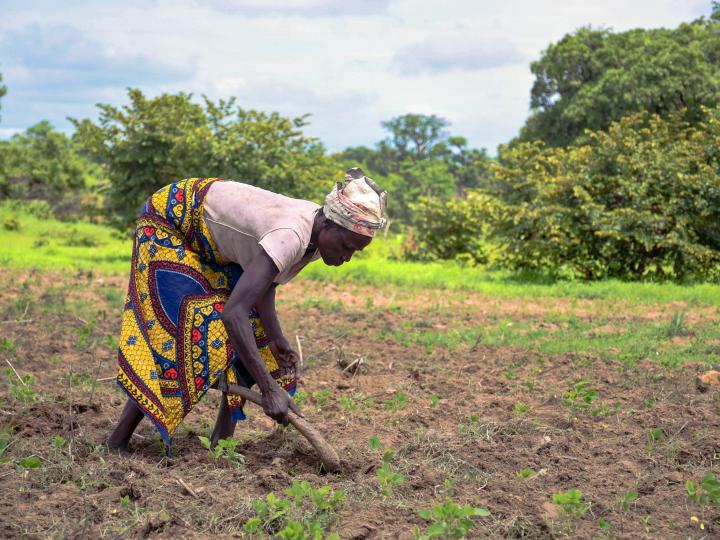 FOOD SECURITY COVER